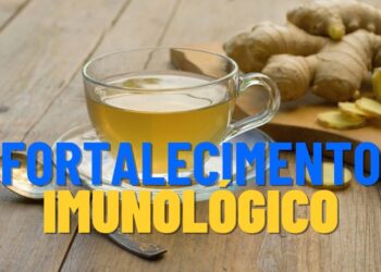 Estas plantas fortalecem a imunidade, segundo estudos de fitoterapia