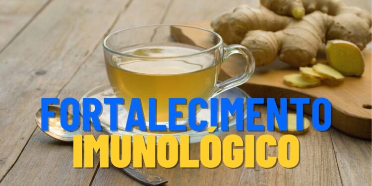 Estas plantas fortalecem a imunidade, segundo estudos de fitoterapia