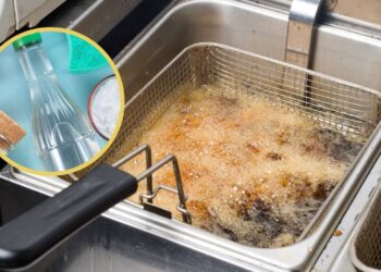 Truque com vinagre elimina o cheiro de fritura da casa