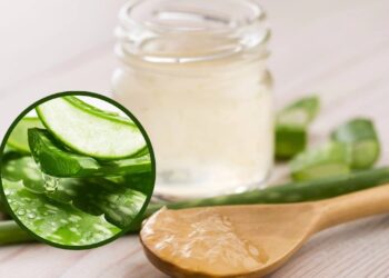 Pomada natural com babosa para queimaduras leves