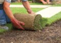 Como plantar grama da forma certa, segundo especialista