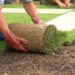 Como plantar grama da forma certa, segundo especialista