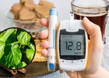 A planta para o controle natural da glicemia