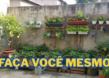 Fruta refrescante faz sucesso pelo sabor e pelo cultivo fácil dentro de casa