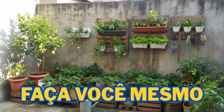 Fruta refrescante faz sucesso pelo sabor e pelo cultivo fácil dentro de casa