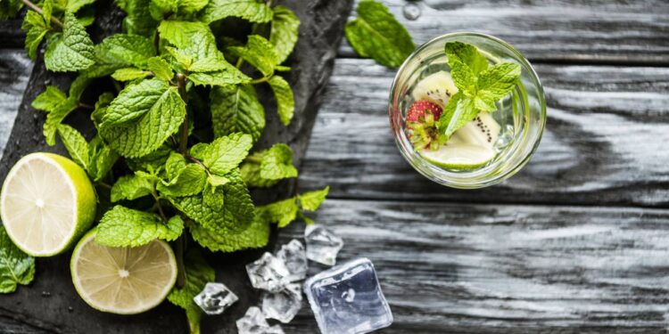 Esta erva tem o poder de aliviar dor de cabeça e melhorar a circulação