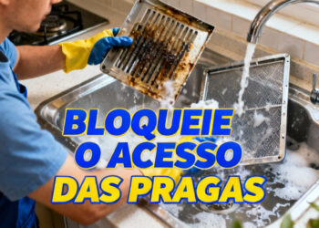 Filtro do exaustor: como limpar e evitar insetos na cozinha