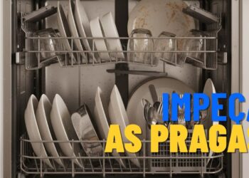 Mistura caseira e vedação eficaz afastam baratas do lava-louças