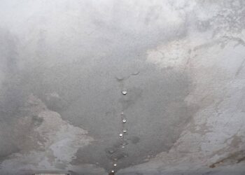 Como identificar e evitar infiltrações nas paredes antes que virem um problema sério