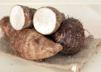 Inhame traz benefícios ao cérebro e a memória comparável até com peixes