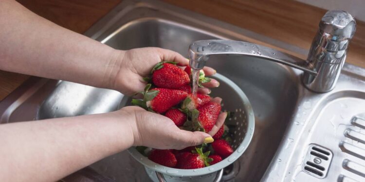 Misturinhas caseiras para higienizar frutas da ceia de Natal