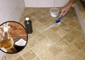 Como acabar com o limo no rejunte utilizando ingredientes da cozinha