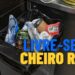 Como eliminar cheiro forte da lixeira sem usar produtos químicos