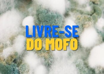 Truques aprovados para eliminar mofo e umidade de vez