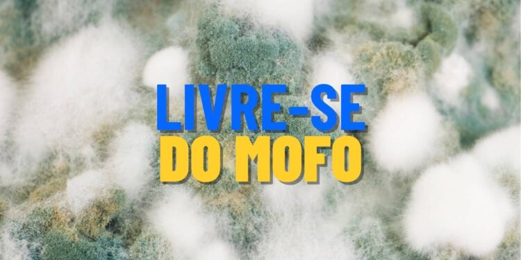 Truques aprovados para eliminar mofo e umidade de vez