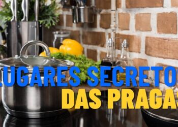3 Locais da cozinha onde as pragas se escondem sem você saber