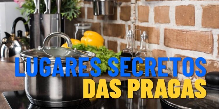 3 Locais da cozinha onde as pragas se escondem sem você saber