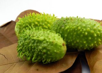 Maxixe: o superalimento brasileiro que une sabor, saúde e tradição