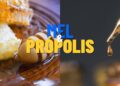 O que o mel com própolis faz pela sua imunidade e você não sabia
