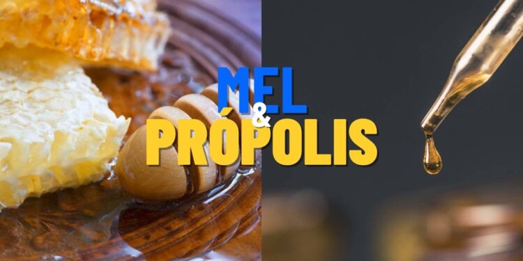 O que o mel com própolis faz pela sua imunidade e você não sabia