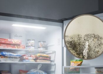 Esta mistura simples remove fungos da borracha do freezer