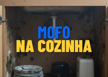 Dicas para evitar o mofo no armário da cozinha durante o verão