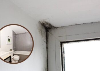Mofo nunca mais! Dica simples para acabar com a umidade no teto e paredes