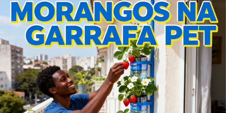 Cultive morangos o ano todo com garrafa pet