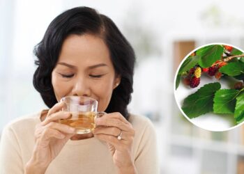 Estudada por cientistas, esta folha ajuda a aliviar os sintomas da menopausa