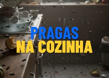 Diga adeus às moscas! Ervas para espantar estes insetos da cozinha naturalmente