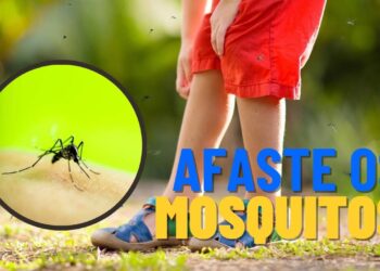 Nem repelente, nem spray químico: truque natural que espanta pernilongos