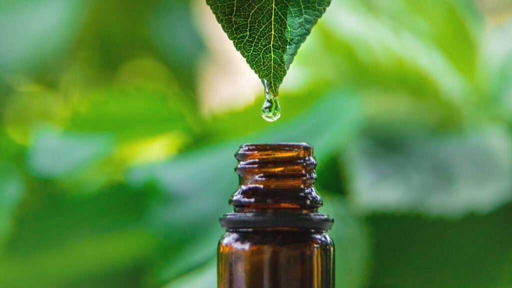 Não use água sanitária para acabar com o mofo das paredes, esse item da cozinha funciona melhor