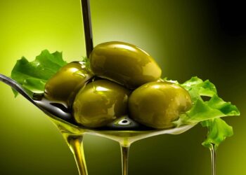 As azeitonas mais antigas do mundo continuam sendo produzidas nessa oliveira há 4000 anos