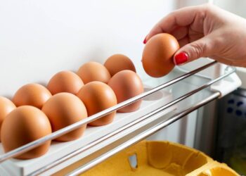 Erro que faz os ovos estragarem rápido e como evitar