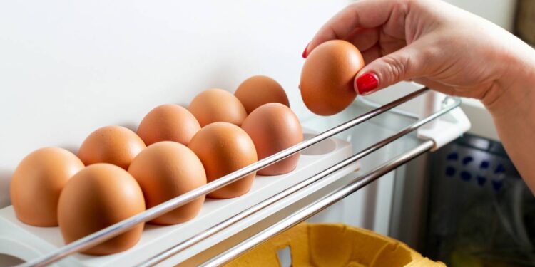 Erro que faz os ovos estragarem rápido e como evitar