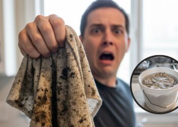 Diga adeus aos panos de prato encardidos com ingredientes caseiros