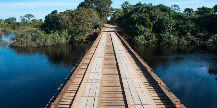 Maior aquário de água doce do mundo fica no Brasil, e a entrada é grátis – saiba como visitar