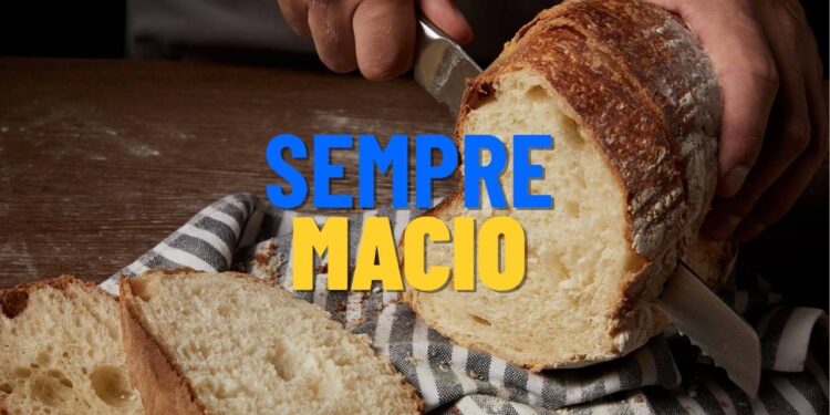 Como conservar pão por até 3 meses e manter o sabor original