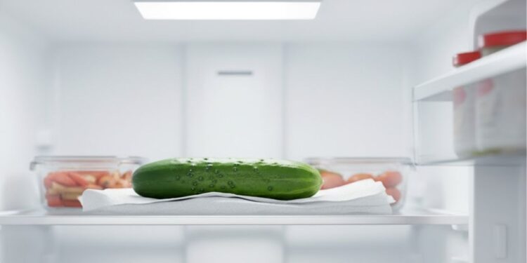 Como conservar pepino crocante por até 10 dias na geladeira