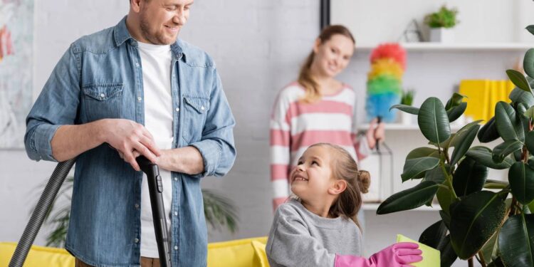 Bem-estar em casa: 7 plantas que melhoram a qualidade de vida e os melhores locais para cultivar cada uma