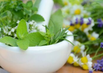 Plantas medicinais perfeitas para uso em chás e infusões