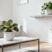 5 Plantas essenciais na decoração minimalista (simples e lindas)