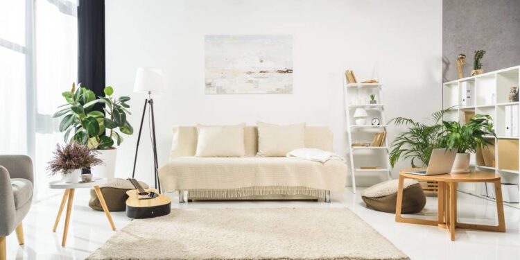 Essas plantas purificam o ar do seu quarto e ajudam a pegar no sono mais rápido