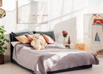 3 plantas fáceis de cuidar que trazem calma, beleza e ar puro para o seu quarto