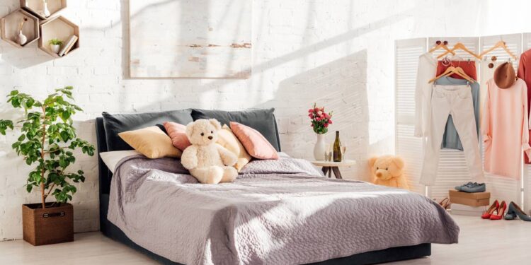 3 plantas fáceis de cuidar que trazem calma, beleza e ar puro para o seu quarto