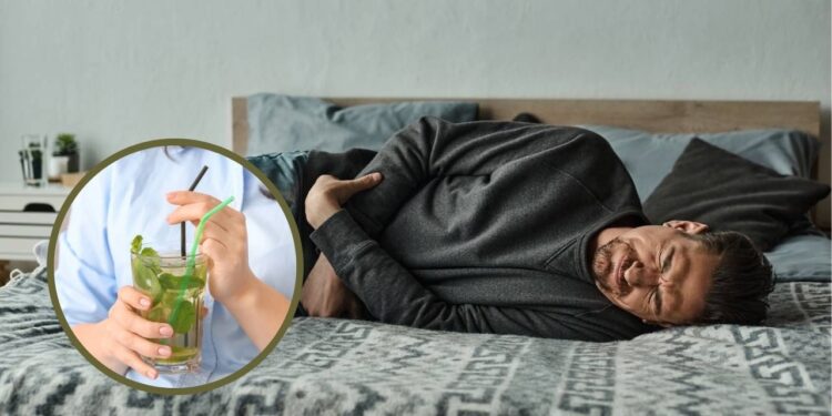 As melhores plantas medicinais para ajudar na digestão