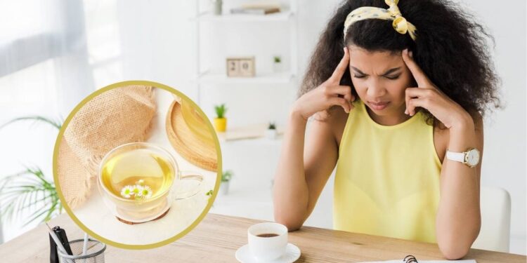 Alivie a dor de cabeça e a tensão naturalmente com estas plantas medicinais