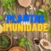 3 Plantas que blindam sua imunidade de forma 100% natural