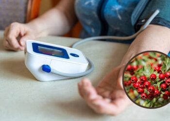 Plantas calmantes para ajudar a controlar a pressão alta