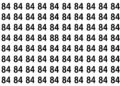 Encontre o número 88 entre os números 84 neste puzzle